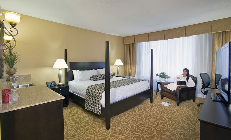 Imagen de la habitación del Hotel Doubletree By Hilton Mclean Tysons. Foto 2