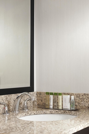 Imagen de la habitación del Hotel Doubletree By Hilton New Orleans Airport. Foto 8