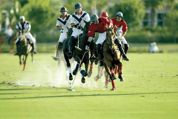 Imagen de los exteriores del Hotel Doubletree By Hilton - Palm Beach Gardens. Foto 10