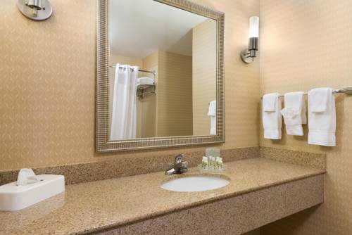 Imagen de la habitación del Hotel Doubletree By Hilton Richmond Airport. Foto 7