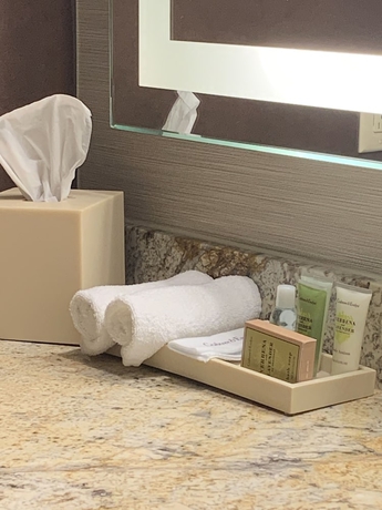 Imagen de la habitación del Hotel Doubletree By Hilton San Antonio Airport. Foto 1