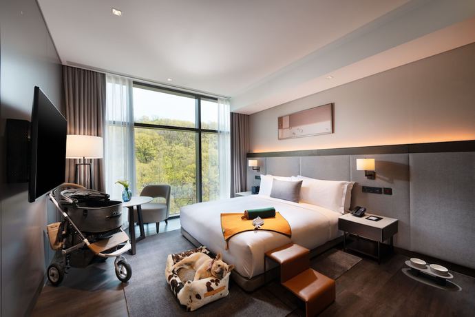 Imagen de la habitación del Hotel Doubletree By Hilton Seoul Pangyo. Foto 12
