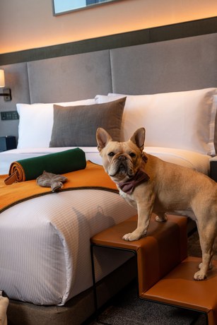 Imagen de la habitación del Hotel Doubletree By Hilton Seoul Pangyo. Foto 16