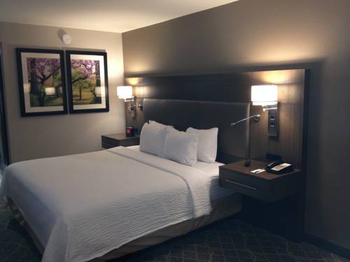 Imagen de la habitación del Hotel Doubletree By Hilton Winston Salem - University. Foto 12