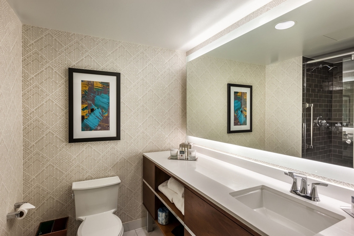 Imagen de la habitación del Hotel Doubletree By Hilton and Suites Houston By The Galleria. Foto 9