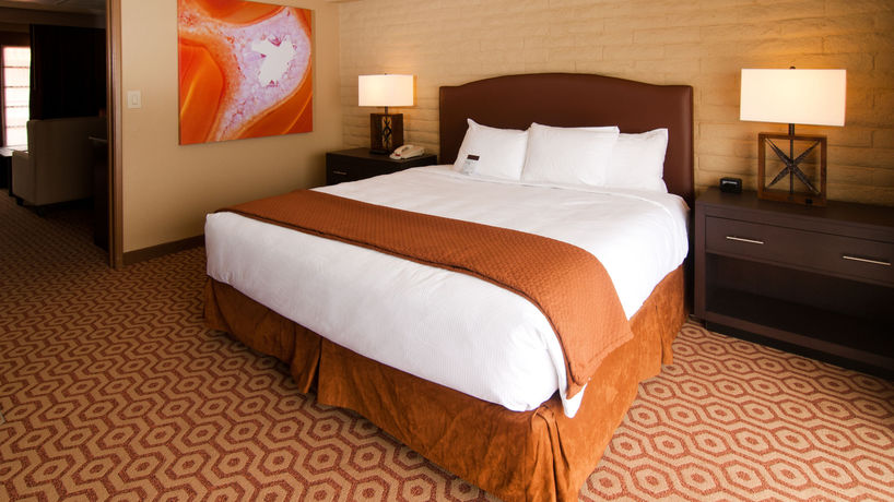 Imagen de la piscina del Hotel Doubletree Suites By Hilton Tucson - Williams Center. Foto 15