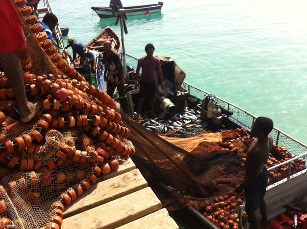 Imagen de los exteriores del Hotel Dourada Studios. Foto 6