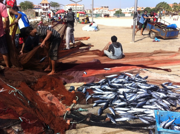 Imagen de los exteriores del Hotel Dourada Studios. Foto 7