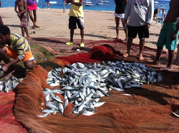 Imagen de los exteriores del Hotel Dourada Studios. Foto 8