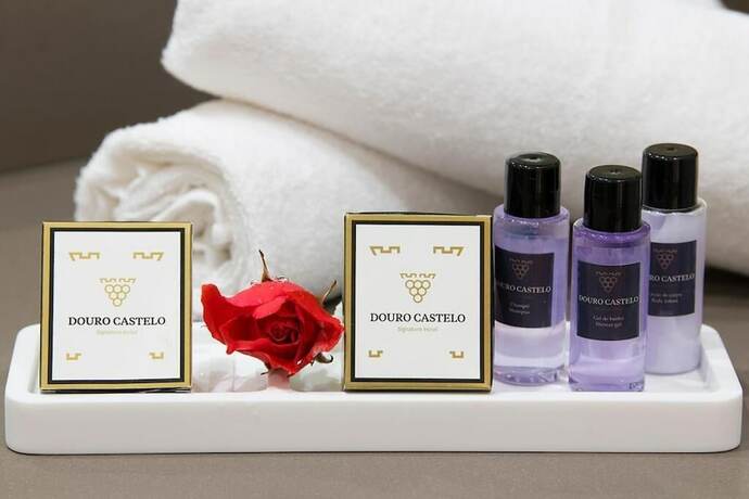 Imagen general del Hotel Douro Castelo Signature. Foto 2