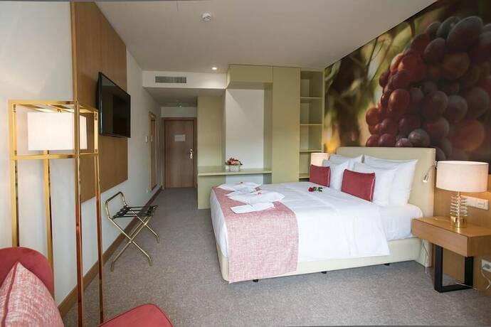 Imagen general del Hotel Douro Castelo Signature. Foto 9