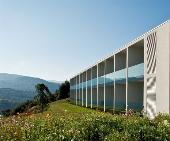 Imagen de los exteriores del Hotel Douro Palace Resort and Spa. Foto 12