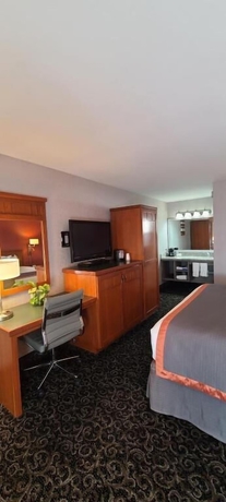 Imagen de la habitación del Hotel Dow Villa Motel. Foto 3