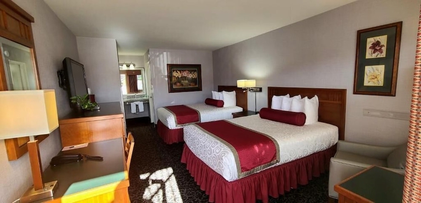 Imagen de la habitación del Hotel Dow Villa Motel. Foto 6