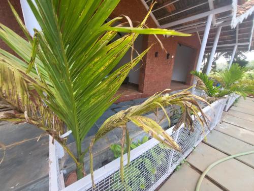 Imagen general del Hotel Down DA Cottages. Foto 19