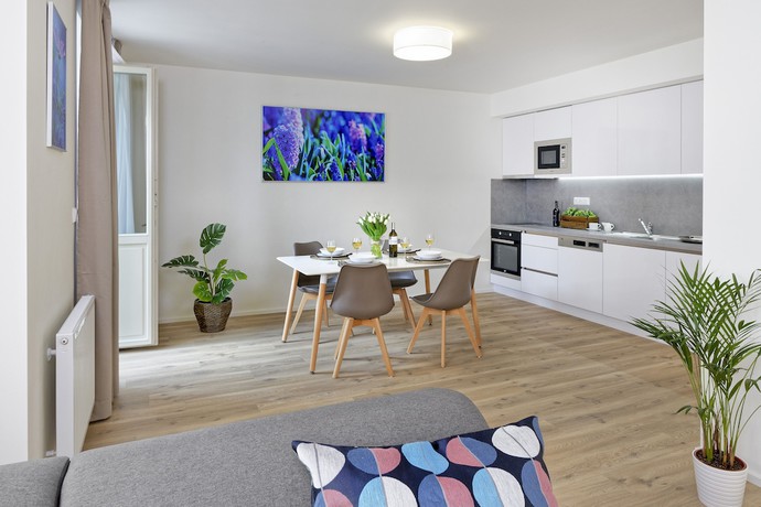 Imagen de la habitación del Hotel DownTown Suites Jugoslavska. Foto 12