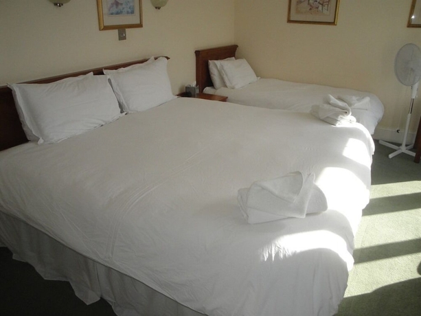 Imagen de la habitación del Hotel Downsview Guest House. Foto 10