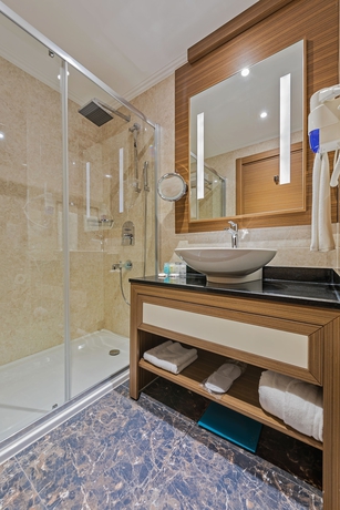 Imagen de la habitación del Hotel Downtown Ankara Hotel. Foto 16