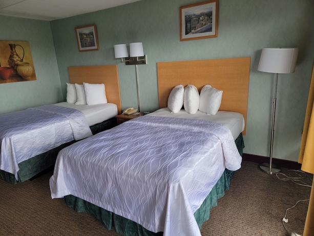 Imagen de la habitación del Hotel Downtown Inn, Asheville. Foto 9