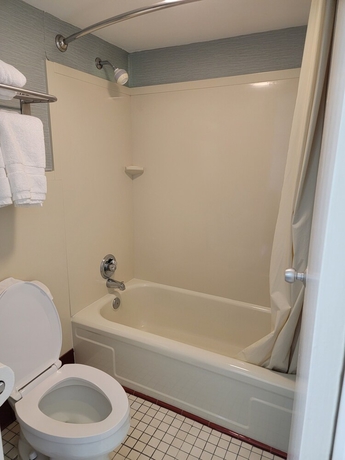 Imagen de la habitación del Hotel Downtown Inn, Asheville. Foto 12
