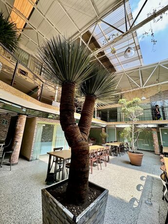 Imagen general del Hotel Downtown Treasure Place. Foto 6