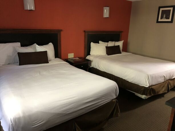 Imagen general del Hotel Downtown Value Inn. Foto 1