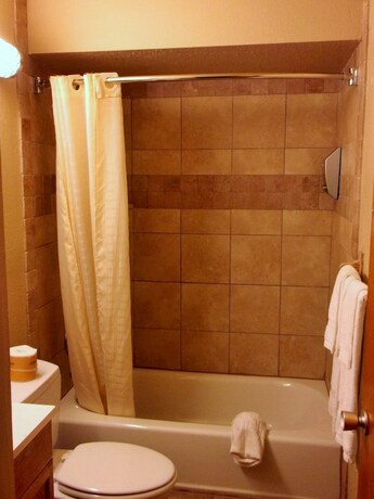 Imagen general del Hotel Downtown Value Inn. Foto 8
