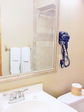 Imagen general del Hotel Downtown Value Inn. Foto 11