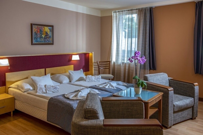 Imagen de la habitación del Hotel Dr&aacute;va Thermal Resort. Foto 8
