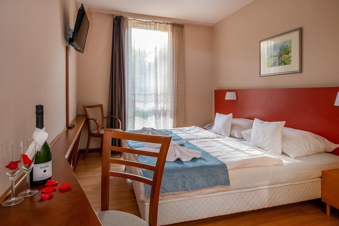 Imagen de la habitación del Hotel Dr&aacute;va Thermal Resort. Foto 9