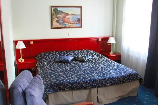 Imagen de la habitación del Hotel Draakon Hotel. Foto 3