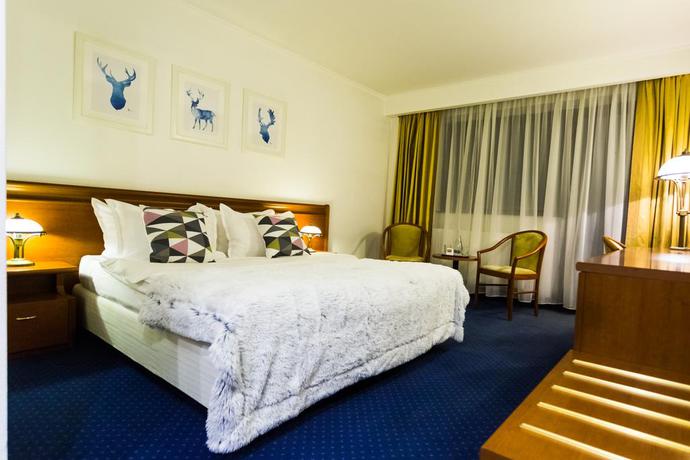 Imagen de la habitación del Hotel Drachenhaus Poiana Brasov. Foto 2