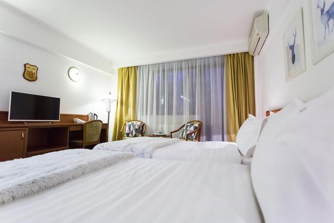 Imagen de la habitación del Hotel Drachenhaus Poiana Brasov. Foto 4