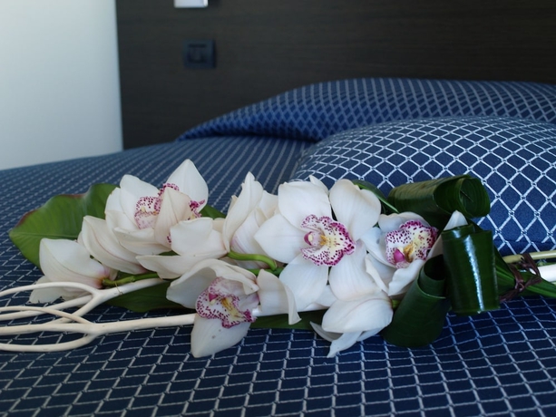 Imagen de la habitación del Hotel Draconerium. Foto 16