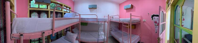 Imagen de la habitación del Hotel Dragon Dive Komodo. Foto 12