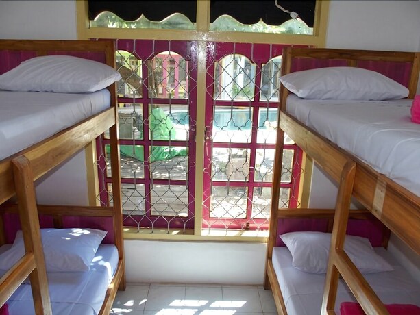 Imagen de la habitación del Hotel Dragon Dive Komodo. Foto 28