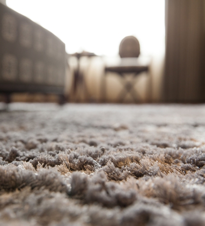 Imagen de la habitación del Hotel Dragon Pearl. Foto 4