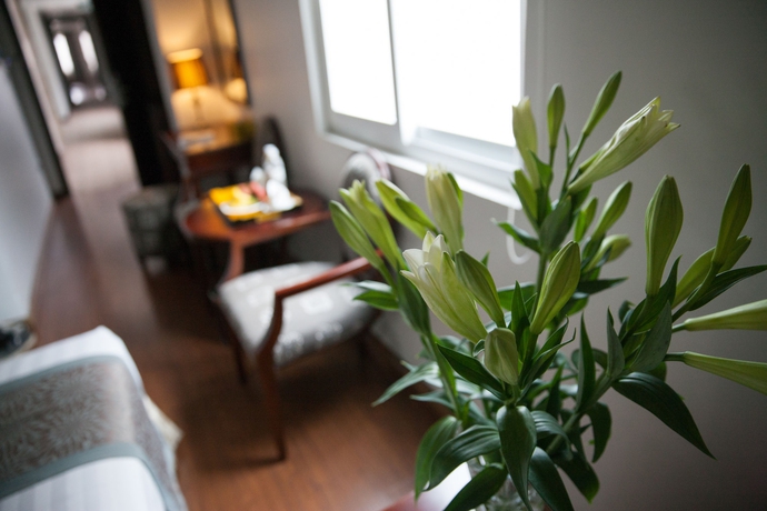 Imagen de la habitación del Hotel Dragon Pearl. Foto 14