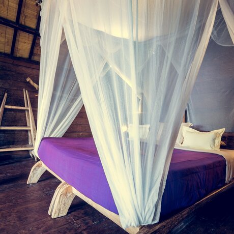 Imagen general del Hotel Dragonfly Village. Foto 10