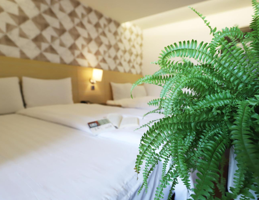 Imagen general del Hotel Dream 12. Foto 15