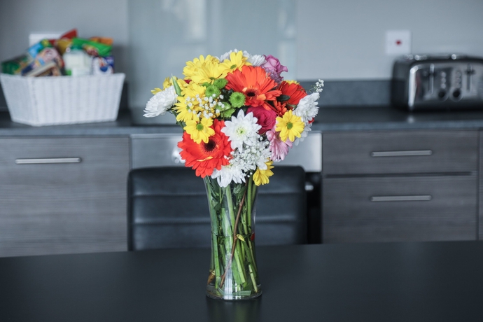 Imagen de la habitación del Hotel Dream Apartments St Thomas Hall. Foto 9