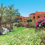 Imagen general del Hotel Dream Garden Resort. Foto 4