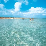 Imagen general del Hotel Dream Garden Resort. Foto 7