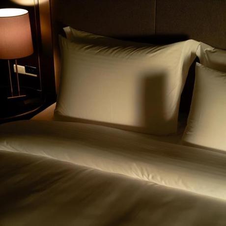 Imagen general del Hotel Dream Palace, AJMAN. Foto 14