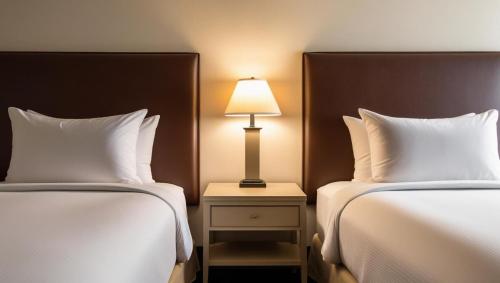 Imagen general del Hotel Dream Palace, AJMAN. Foto 15