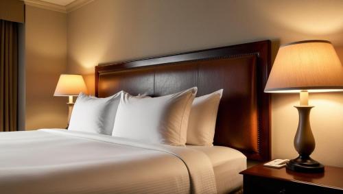 Imagen general del Hotel Dream Palace, AJMAN. Foto 16