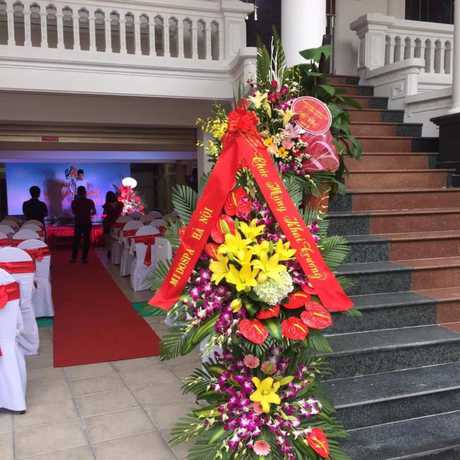 Imagen general del Hotel Dream Vinh Hoa. Foto 3