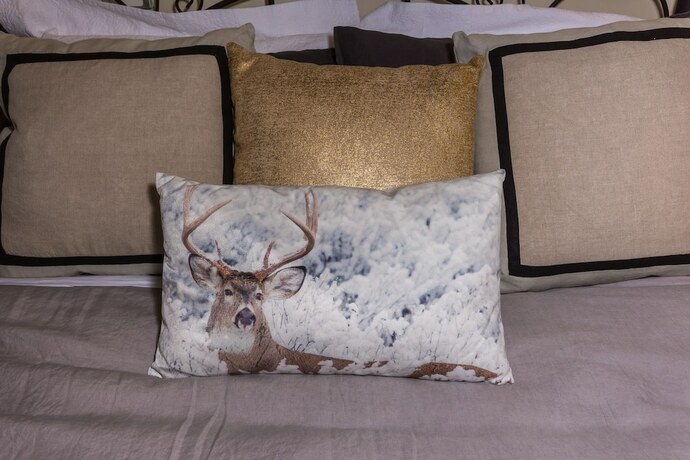 Imagen general del Hotel Dreamers. Foto 6