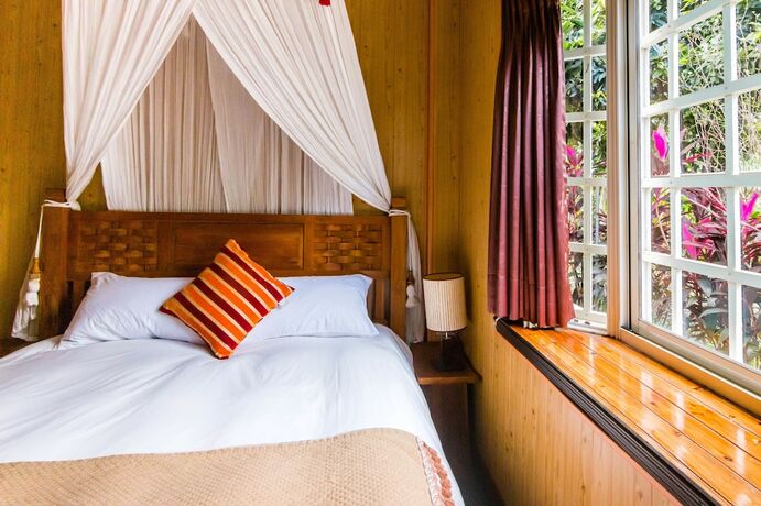 Imagen de la habitación del Hotel Dreamhome BandB. Foto 19