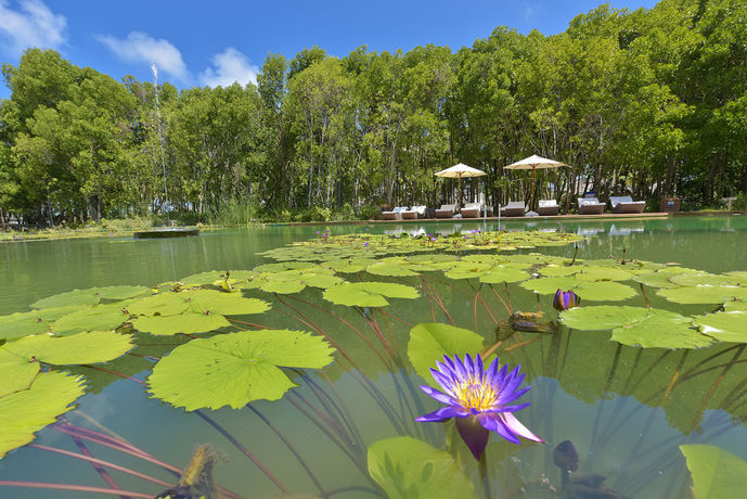 Imagen general del Hotel Dreamland Unique Sea and Lake Resort Spa. Foto 5
